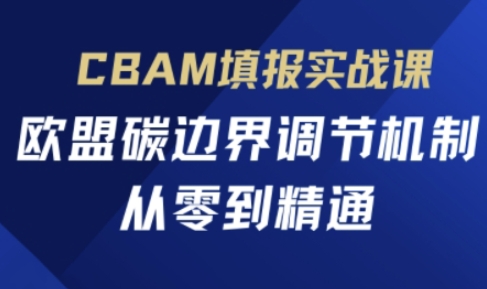 CBAM填报实战课，欧盟碳边界调节机制，从零到精通-黎夏颜网络