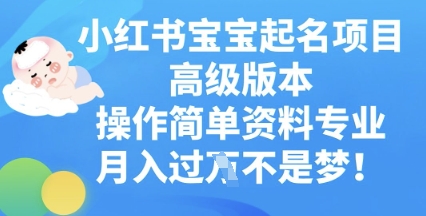 小红书宝宝起名项目高级版本，操作简单，资料专业，月入过W-黎夏颜网络