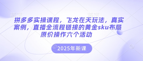 拼多多实操课程，飞龙在天玩法，真实案例，直播全流程链接的黄金sku布局原价操作六个活动-黎夏颜网络