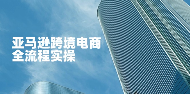 （14252期）亚马逊跨境电商全流程实操，教你从零开始，掌握店铺运营与广告技巧-黎夏颜网络