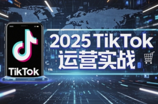 2025TikTok电商运营，掌握TikTok店铺运营核心技巧，实现低成本高转化-黎夏颜网络