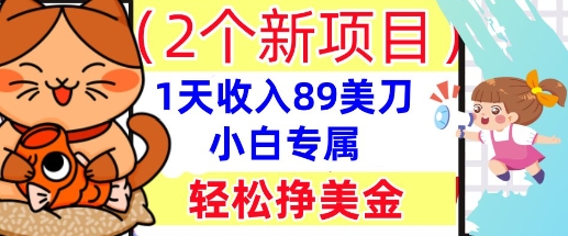 2个新项目，轻松挣美金， 1天收入89美刀，小白专属，干货分享-黎夏颜网络