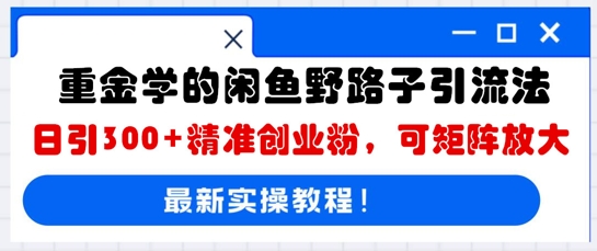 重金学的闲鱼野路子引流法，日引300+精准创业粉，可矩阵放大-黎夏颜网络