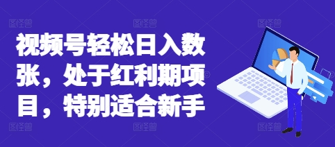 视频号轻松日入数张，处于红利期项目，特别适合新手-黎夏颜网络