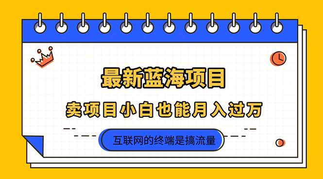 （14289期）2025年最新蓝海项目，卖项目小白也能月入过万-黎夏颜网络