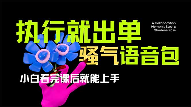 （14170期）爆火全网的开车导航骚气语音包,只要执行就出单，小白看完课程就能实操...-黎夏颜网络