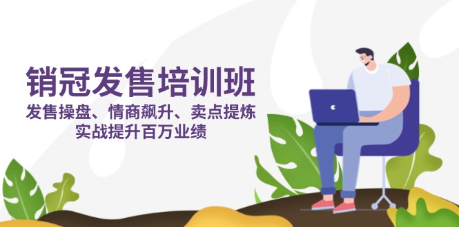 （14203期）销冠 发售培训班：发售 操盘+情商 飙升+卖点 提炼，实战提升百万业绩-黎夏颜网络