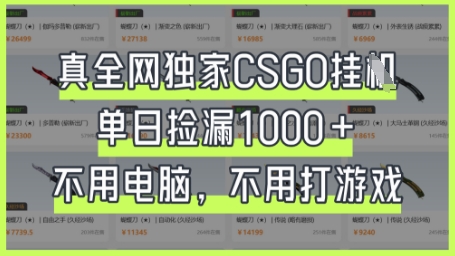 真全网独家CSGO挂G，单日捡漏1k+【揭秘】-黎夏颜网络