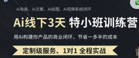 AI实操培训第20-21期线下，0基础保姆级教程，3月最新整理，企业获客、降本增效、打造超级个体-黎夏颜网络