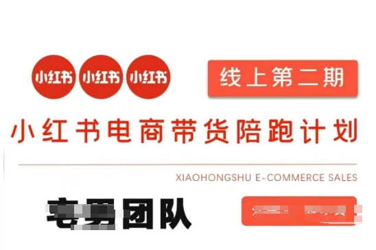 小红书电商带货课2期，月利润20个的小红书电商的有货源，无货源，虚拟产品，付费投流等整套玩法-黎夏颜网络