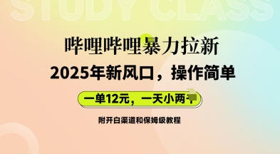 哔哩哔哩暴力拉新：2025年新风口，一单12元，一天数张(附开白渠道和保姆级教程)-黎夏颜网络