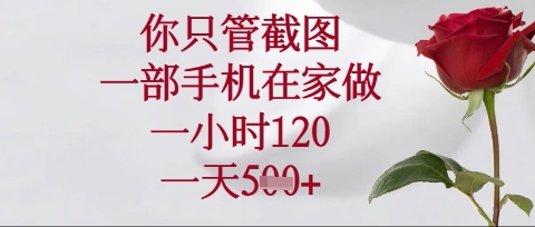 你只管截图，一部手机在家操作，一小时120.一天5张【揭秘】-黎夏颜网络